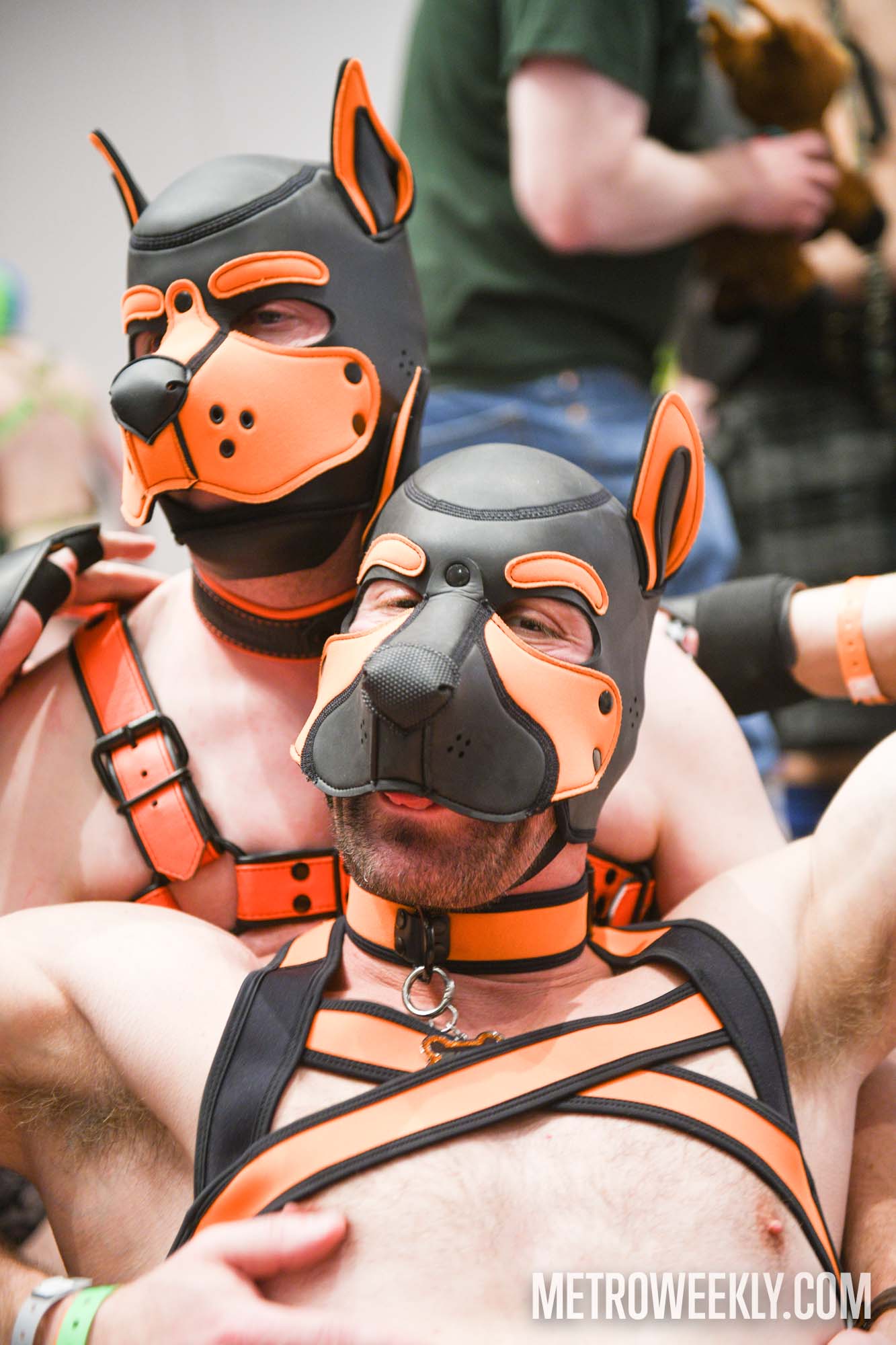 #31 of 168 : 2026-01-23_3027_179247.jpg