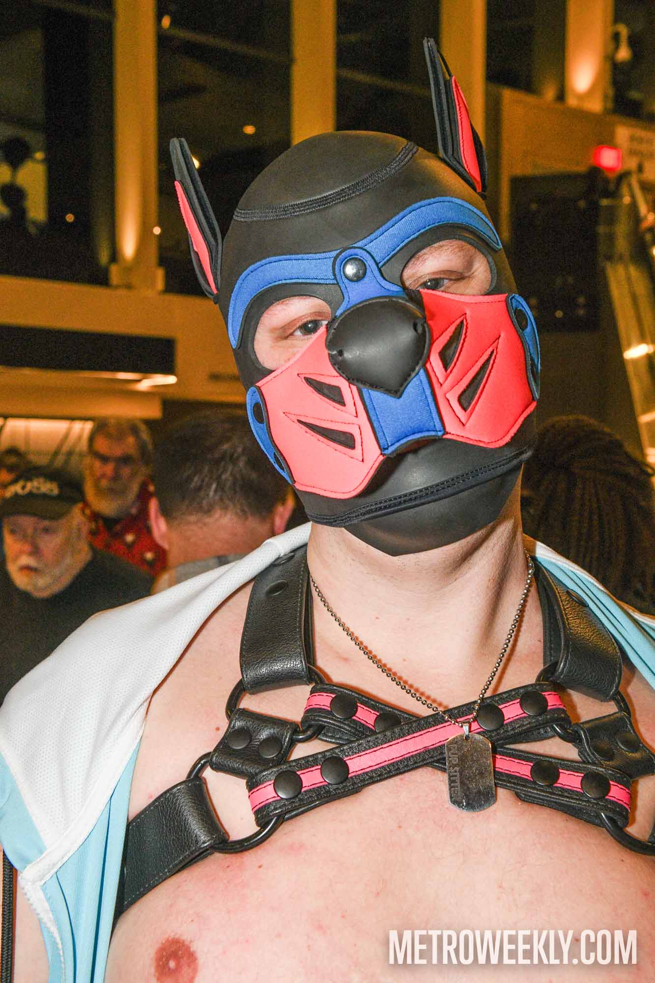 #124 of 168 : 2026-01-23_3027_179340.jpg