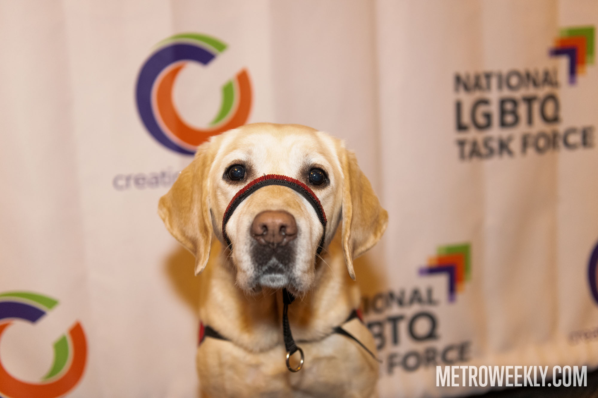 #14 of 73 : 2026-01-28_3029_179492.jpg