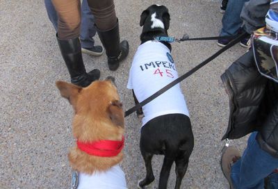 Women's March 2018 in Washington, D.C. #84