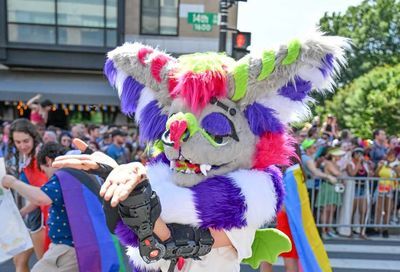 Capital Pride Parade 2024: Part 2 (Todd Franson) #137