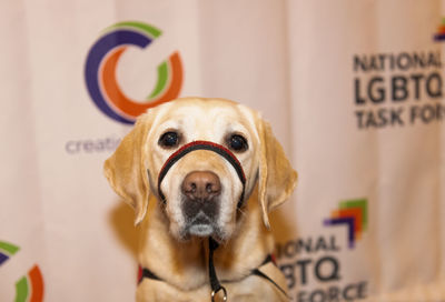 Kierra's Kabaret at The Task Force's Creating Change Conference #14